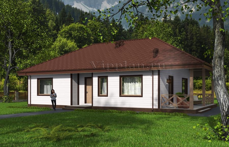 Одноэтажный жилой дом с террасйо.